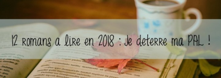 12-romans-a-lire-2018-popcornandgibberish-wordpress