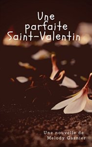 Une parfaite St Valentin