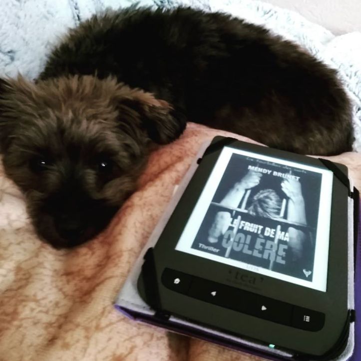 Le fruit de ma colère