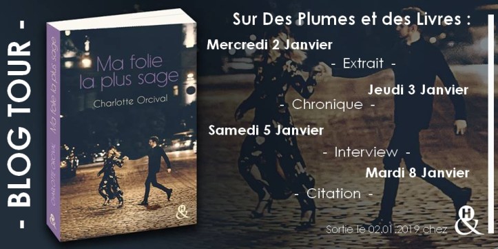 Bannière Ma folie la plus sage