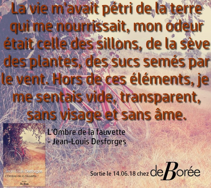 L'ombre de la fauvette