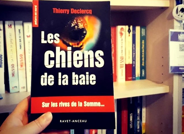 Les chiens de la Baie