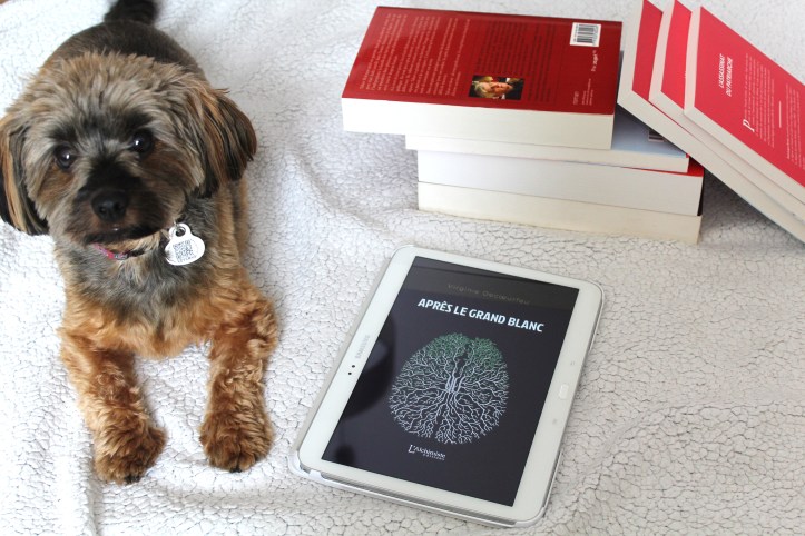 Après le Grand Blanc