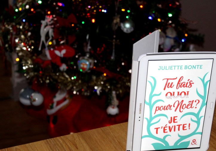 Tu fais quoi pour Noël Je t'évite